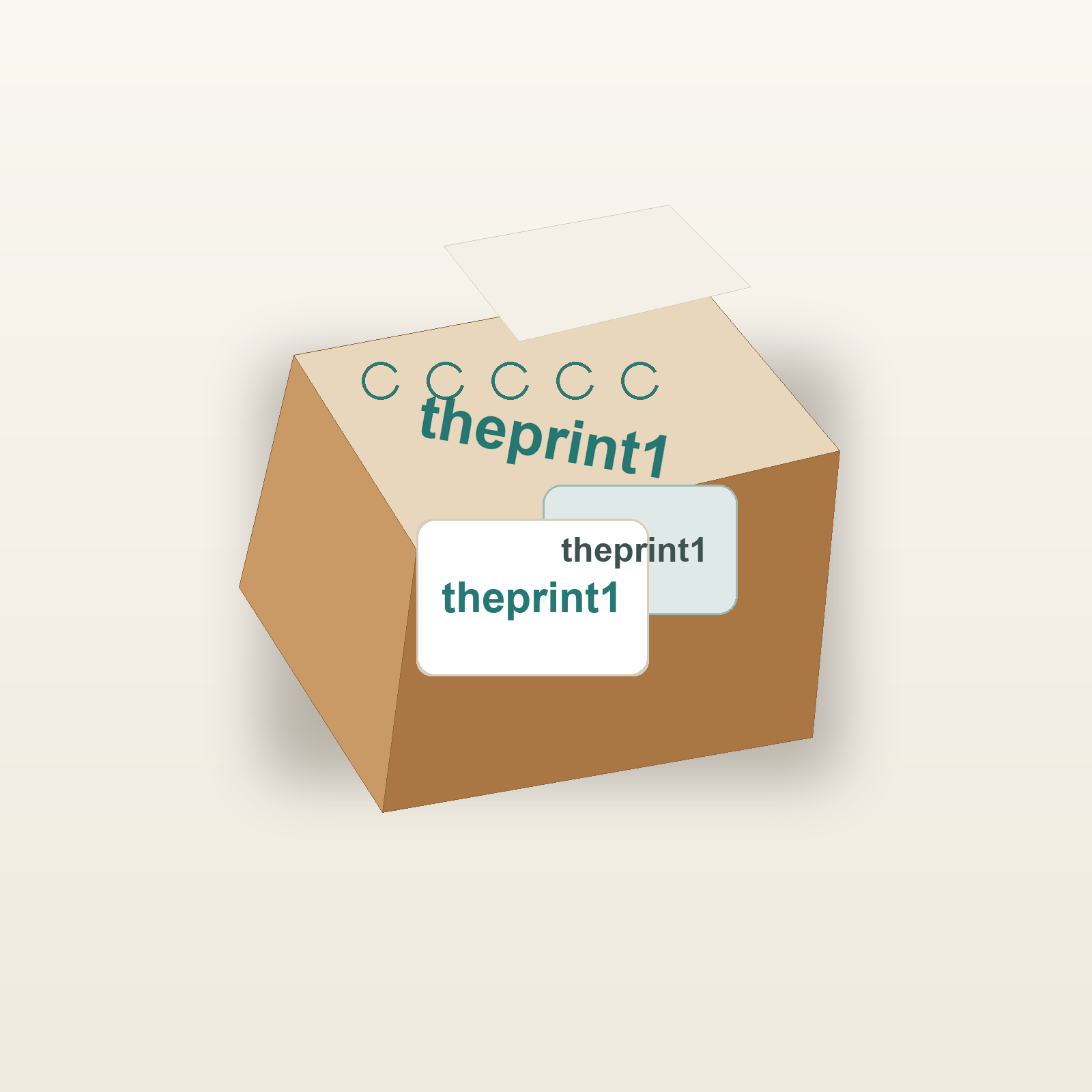 صناديق اشتراك مطبوعة بشعار theprint1